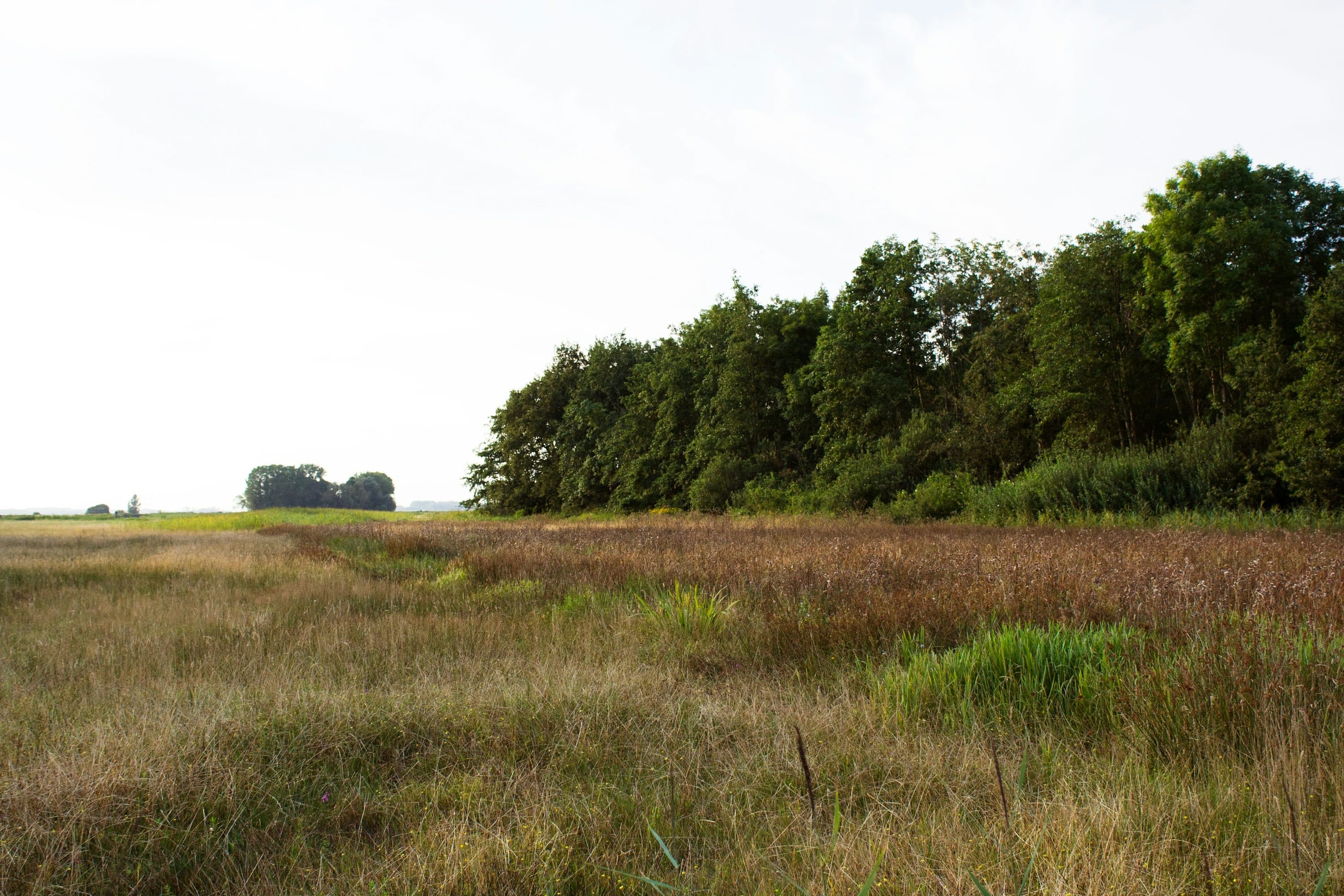 Descrierea imaginii 1