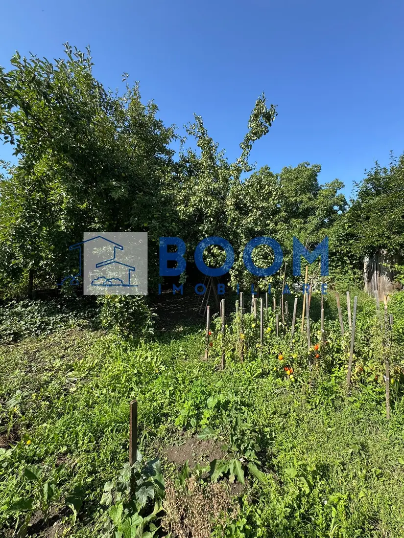 Descriere miniatură 9