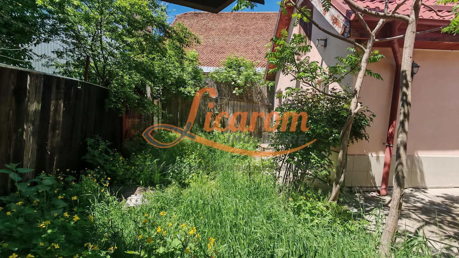 Descriere miniatură 13