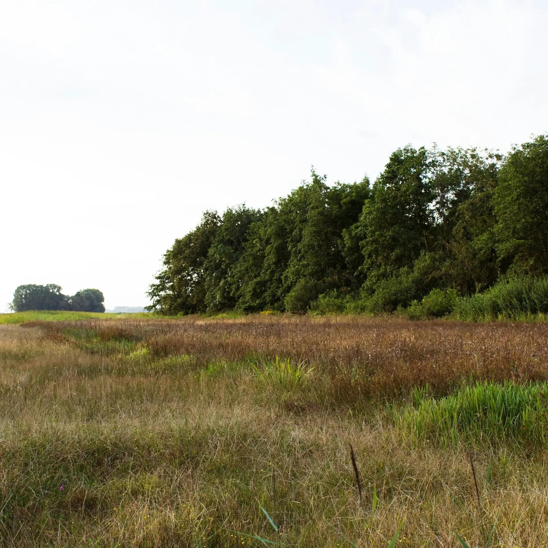 Descrierea imaginii 1