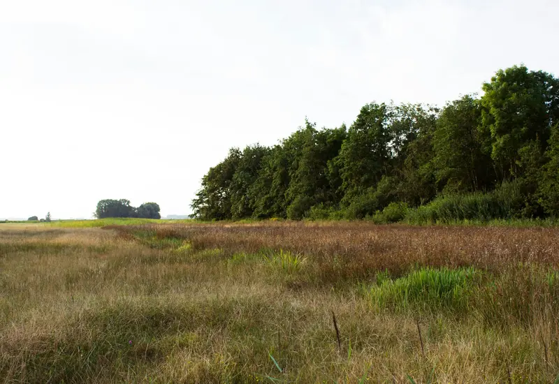 wefewfwefewwefewfwefwe