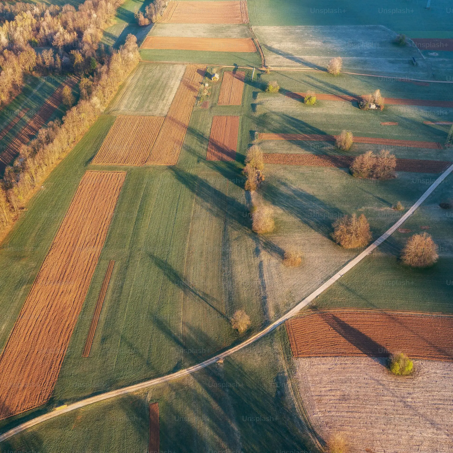 Descriere miniatură 2